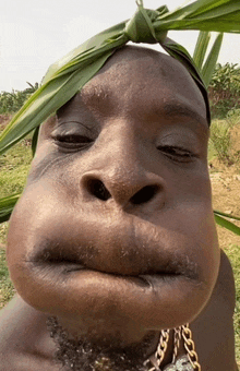 a close up of a person 's face with a leaf on his head