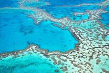 an aerial view of a coral reef surrounded by turquoise water