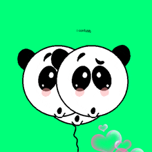 a cartoon of two panda bears holding balloons with the words i confuse below them