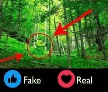 a picture of a peasant in the middle of a forest with arrows pointing to it .