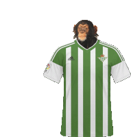 a monkey is wearing a green and white striped adidas shirt