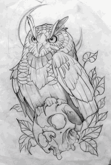 a drawing of an owl sitting on a skull with leaves around it