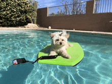 a small dog laying on a green boogie board in a pool