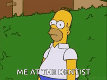 homer simpson from the simpsons is standing in a grassy field and talking to the dentist .
