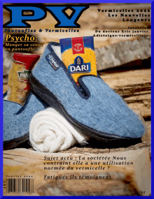 a magazine cover with a pair of blue slippers and a bag of dari vermicelles