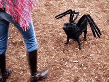 a pug dressed up as a spider is standing next to a woman