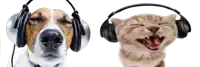 a dog and a cat wearing headphones with their mouths open