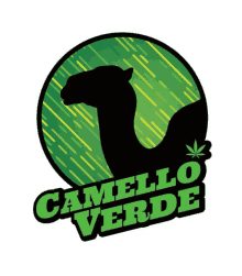 a logo for camello verde shows a silhouette of a camel in a green circle