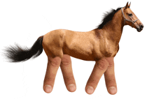 a brown horse with a bridle is being held by a pair of fingers