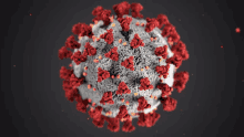 a close up of a virus with red and white spots on it