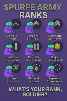 a poster showing the purple army ranks including private corporal sergeant major colonel general and supreme commander