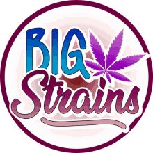 a logo for big strains with a marijuana leaf on it