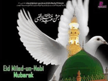 a white pigeon is flying over a green dome in front of a mosque .