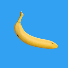 a yellow banana on a blue background with a black spot