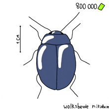 a drawing of a bug with the number 800 000 on the bottom