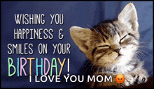 a birthday card with a kitten and the words wishing you happiness and smiles on your birthday