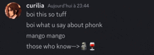 a screenshot of a conversation between curilia and those who know about phonk