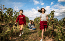 a boy wearing a jack daniels sweatshirt is running in a field