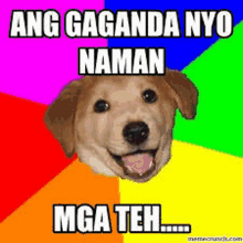 a picture of a dog with the caption ang gagaganda nyo naman mga teh