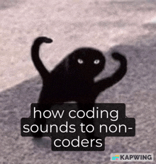 a picture of a black cat with the words how coding sounds to non-coders below it