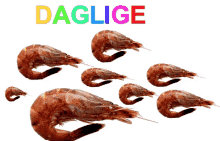 a bunch of shrimp are lined up in a row under the word daglige