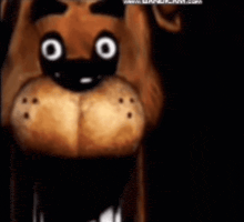 a close up of a teddy bear 's face with big eyes and a black background .