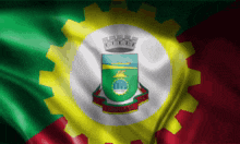 a green yellow and red flag with a coat of arms in the center