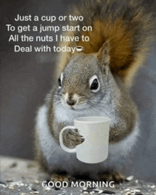 a squirrel is holding a cup of coffee in its paws