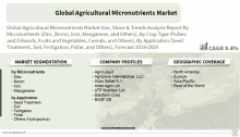 a brochure for the global agricultural micronutrients market shows the market segmentation and company profiles