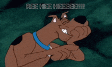 scooby doo is laying down with the words ree hee heeee !!! below him