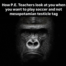 a black and white photo of a gorilla with a caption that says how p.e. teachers look at you