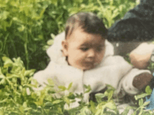 a baby in a white jacket is sitting in a field of grass