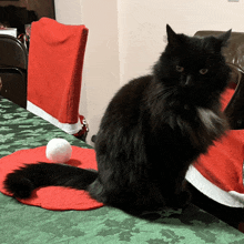 a black cat is sitting on a table with a santa hat on it