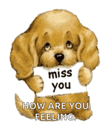 a puppy holding a sign that says miss you
