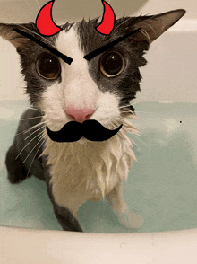 a black and white cat with devil horns and a mustache is in a bathtub