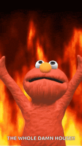 elmo from sesame street is standing in front of a fire and says the whole damn house