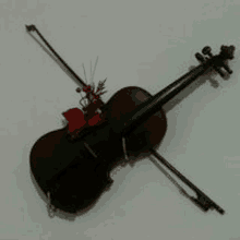 a violin with a bow is hanging on a wall .