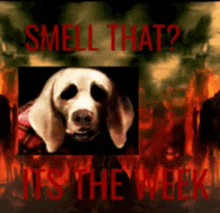 a picture of a dog with the words smell that written on it