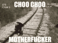 a person is standing on train tracks with the words choo choo motherfucker