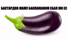 a purple eggplant with a green stem is on a white background with russian text