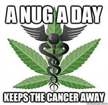 a nug a day keeps the cancer away .