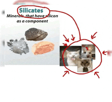 a diagram of silicates minerals that have silicon as a component with a cat in the center