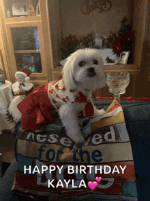 a small white dog wearing a red dress is sitting on a pillow that says " happy birthday kayla "