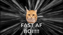 a cat is flying through space with the words `` fast af boi !!! '' written on it .
