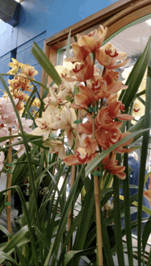 a bunch of flowers in front of a window with a blue wall behind them