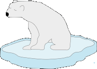 a polar bear sitting on a piece of ice