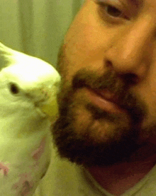 a man with a beard is holding a white bird in his hand