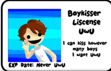 a boy kisser license that says i can kiss however many boys i want uwu on it