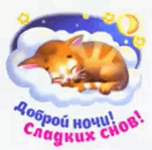 a cat is sleeping on a cloud with the words `` доброй ночи ! ''