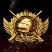 a gold emblem with a helmet and crossed guns